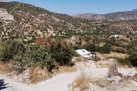 9031 SQM Land · Steni (Paphos) for sale 