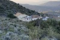 53961 SQM Land in Foinikaria (Limassol) for sale 