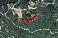 7619 SQM Land in Marathounta (Paphos) for sale 