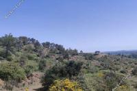 15051 SQM Land in Lythrodontas (Nicosia) for sale 