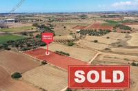 6512 SQM Land · Avgorou (Famagusta) for sale 