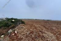 31773 SQM Land · Agios Theodoros Larnacas (Larnaca) for sale 