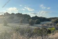 31773 SQM Land in Agios Theodoros Larnacas (Larnaca) for sale 