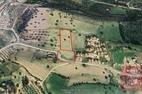 4683 SQM Land in Alaminos (Larnaca) for sale 