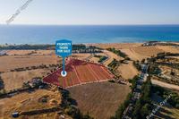 21576 SQM Land in Poli Chrysochous (Paphos) for sale 