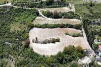 3345 SQM Land in Koilani (Limassol) for sale 