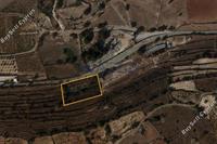 3679 SQM Land · Pachna (Limassol) for sale 