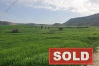 9031 SQM Land in Petrofani (Larnaca) for sale 