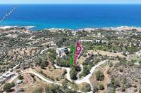 1978 SQM Land in Nea Dimmata (Paphos) for sale 