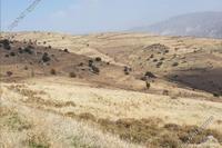24081 SQM Land in Pentalia (Paphos) for sale 