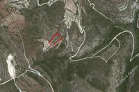 3011 SQM Land · Kritou Tera (Paphos) for sale 