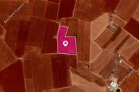 11552 SQM Land in Dasaki Achnas (Famagusta) for sale 