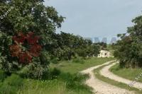 11372 SQM Land in Alaminos (Larnaca) for sale 