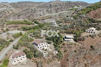 595810 SQM Land · Agia Varvara (Paphos) for sale 
