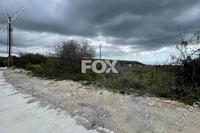 3979 SQM Land in Marathounta (Paphos) for sale 
