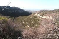 10034 SQM Land in Tsada (Paphos) for sale 