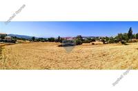 11039 SQM Land in Moni (Limassol) for sale 
