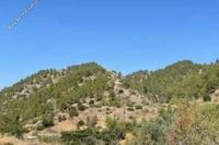 12042 SQM Land in Gourri (Nicosia) for sale 