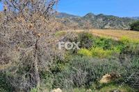 9700 SQM Land in Kalo Chorio Lemesou (Limassol) for sale 