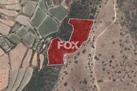 20904 SQM Land in Pissouri (Limassol) for sale 