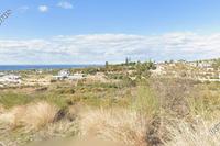 12000 SQM Plot in Peyia (Paphos) for sale 