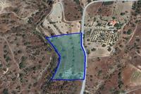 9758 SQM Land · Pyrgos Limassol (Limassol) for sale 