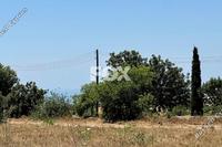 6095 SQM Land · Mesogi (Paphos) for sale 