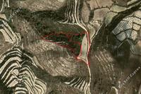 15185 SQM Land in Koili (Paphos) for sale 