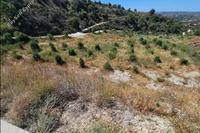 12710 SQM Land in Psathi (Paphos) for sale 
