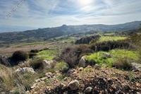 9365 SQM Land in Drousia (Paphos) for sale 