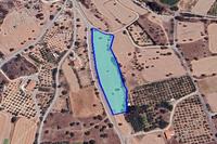 9303 SQM Land in Kalavasos (Larnaca) for sale 