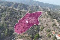 15720 SQM Plot in Galata (Nicosia) for sale 