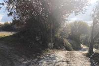 5352 SQM Land in Kinousa (Paphos) for sale 