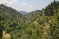 3679 SQM Land · Pelendri (Limassol) for sale 