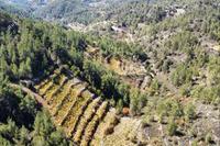 3679 SQM Land · Pelendri (Limassol) for sale 