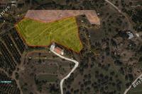 5686 SQM Land in Arakapas (Limassol) for sale 
