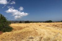 4683 SQM Land in Stroumbi (Paphos) for sale 