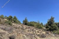 6689 SQM Land · Fikardou (Nicosia) for sale 