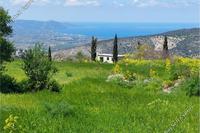 23000 SQM Land · Meladia (Paphos) for sale 