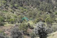 2174 SQM Land in Agios Epifanios Oreinis (Nicosia) for sale 