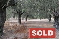 3345 SQM Land in Anafotida (Larnaca) for sale 