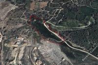 11037 SQM Land in Tremithousa (Paphos) for sale 