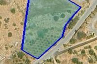 7010 SQM Plot in Parekklisia (Limassol) for sale 