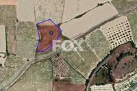 3809 SQM Land · Polemi (Paphos) for sale 