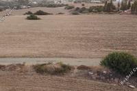 2894 SQM Land in Moni (Limassol) for sale 