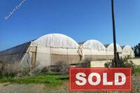 11075 SQM Land in Liopetri (Famagusta) for sale 