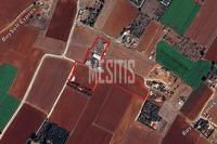 20205 SQM Land in Avgorou (Famagusta) for sale 
