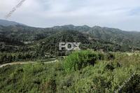 25284 SQM Land in Troodos (Limassol) for sale 