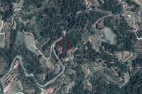 2815 SQM Land · Panagia (Paphos) for sale 