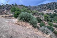 5454 SQM Land · Kalo Chorio Lemesou (Limassol) for sale 